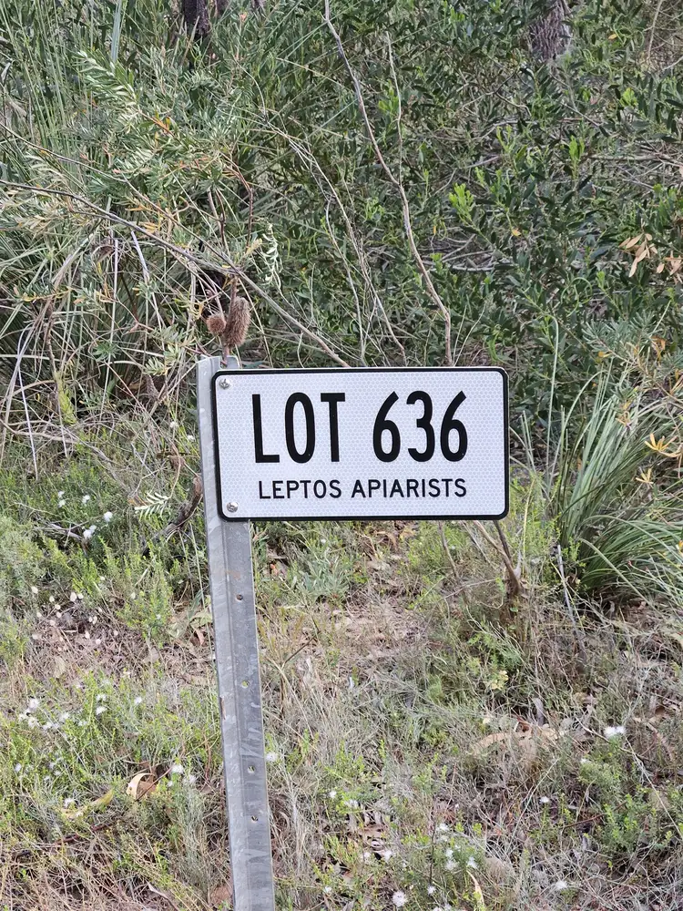 Main view of Homely land listing, Lot 636 Thomas Road, Avenue Range SA 5273
