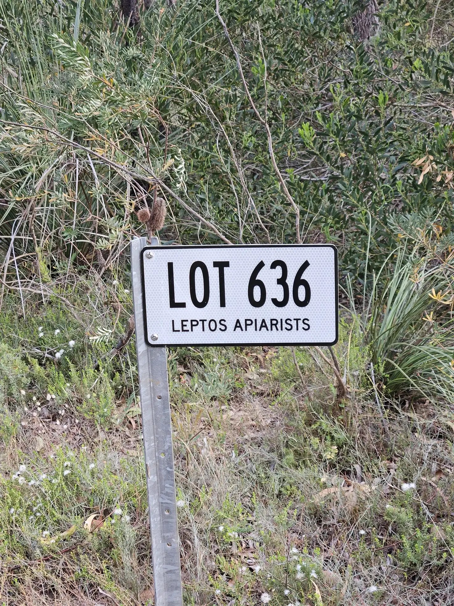 Main view of Homely land listing, Lot 636 Thomas Road, Avenue Range SA 5273
