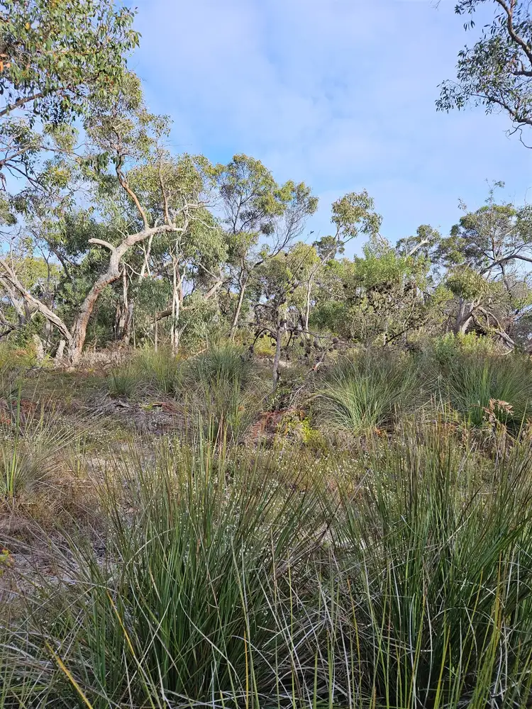 Seventh view of Homely land listing, Lot 636 Thomas Road, Avenue Range SA 5273