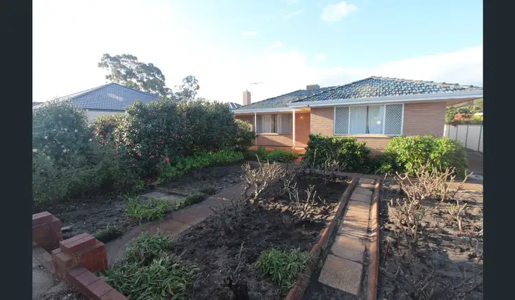 16 Chester Avenue, Dianella WA 6059