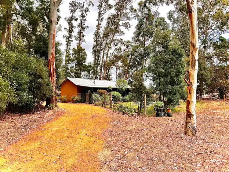 Main view of Homely house listing, 3 McManus Circuit, Witchcliffe WA 6286