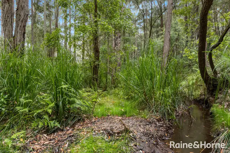 Third view of Homely rural property listing, 49b Woollamia Road, Falls Creek NSW 2540