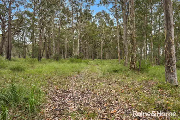 Seventh view of Homely rural property listing, 49b Woollamia Road, Falls Creek NSW 2540