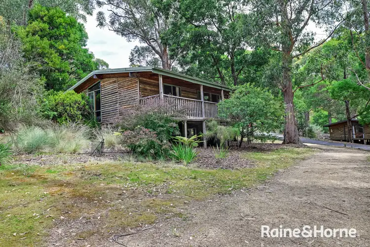 Fourth view of Homely unit listing, Cabin 10 Stewarts Bay Lodge, Port Arthur TAS 7182