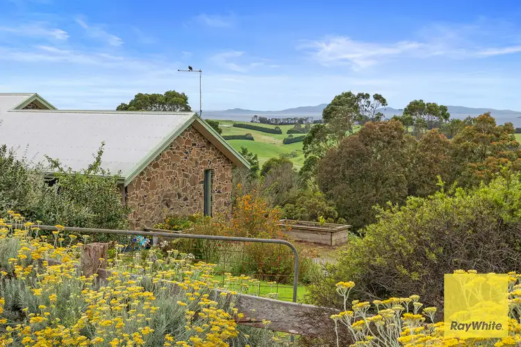 Main view of Homely house listing, 19 Albert Court, Foster VIC 3960