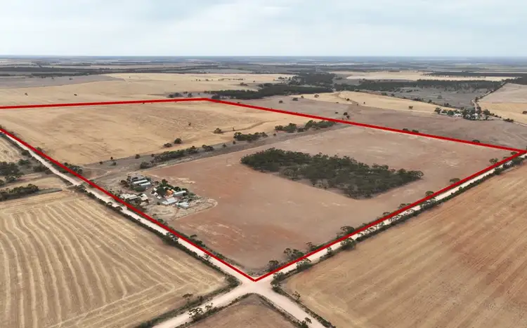 Main view of Homely rural property listing, 1992 Frankton Road, Neales Flat SA 5374