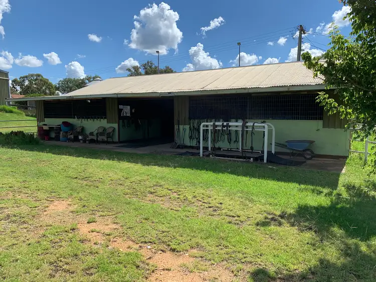 Fourth view of Homely rural property listing, 4520 Murringo Road, Young NSW 2594