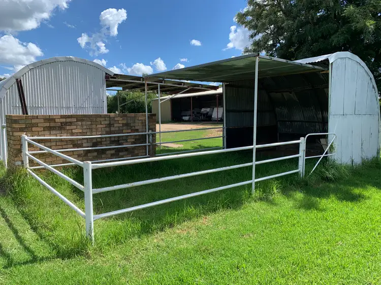 Fifth view of Homely rural property listing, 4520 Murringo Road, Young NSW 2594