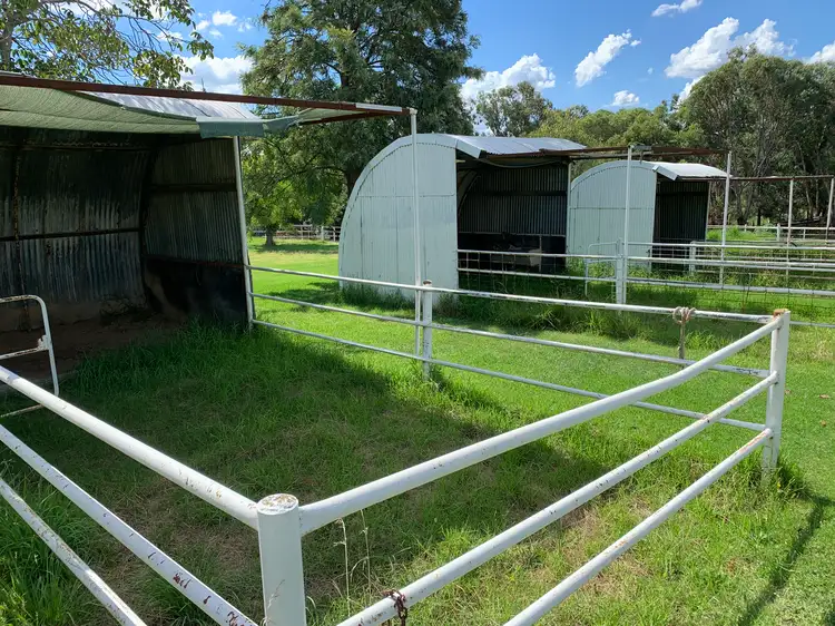 Sixth view of Homely rural property listing, 4520 Murringo Road, Young NSW 2594