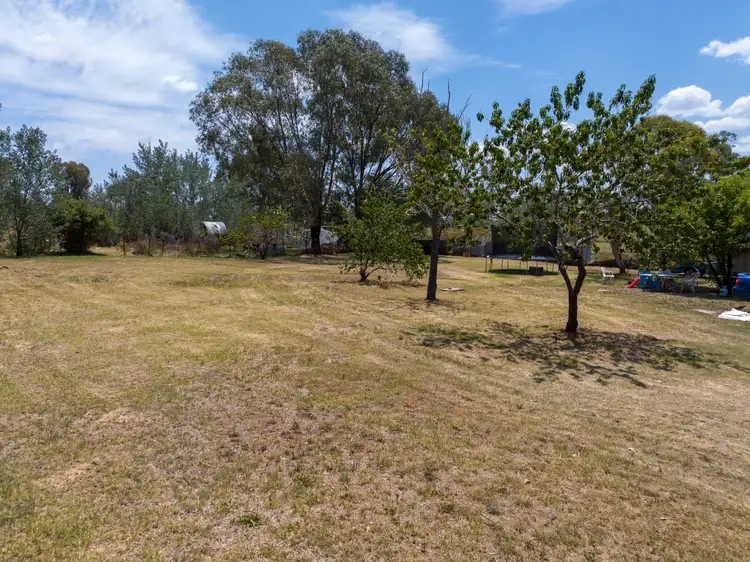Seventh view of Homely land listing, 12 Cudgegong Street, Mumbil NSW 2820
