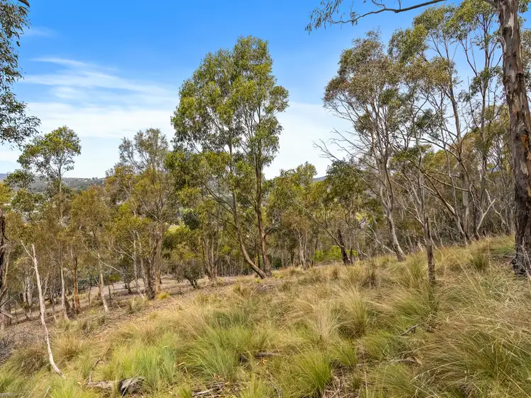 Fourth view of Homely land listing, 193 Forest Road, West Hobart TAS 7000