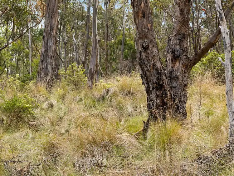 Fifth view of Homely land listing, 193 Forest Road, West Hobart TAS 7000