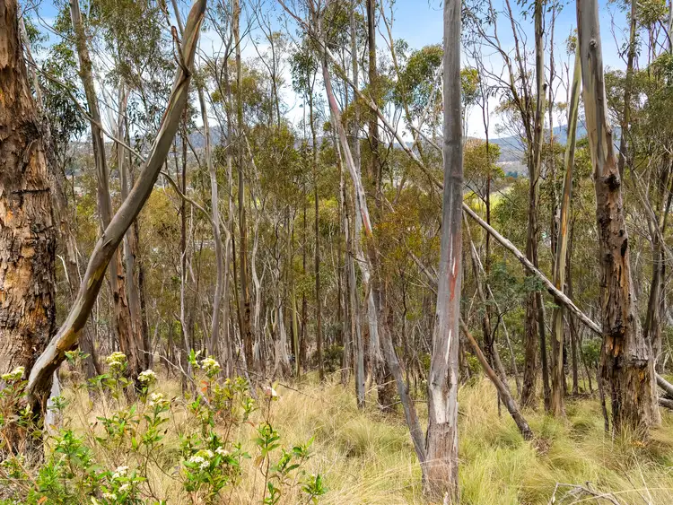 Sixth view of Homely land listing, 193 Forest Road, West Hobart TAS 7000