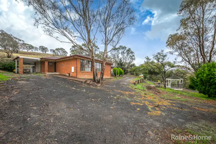 685 Racecourse Road