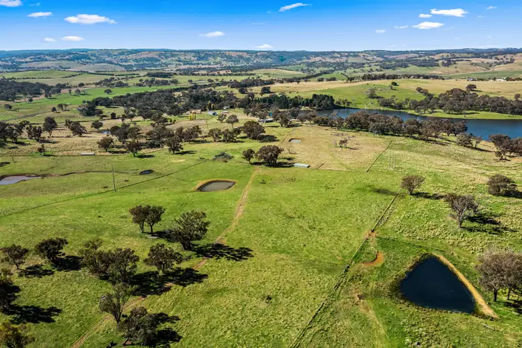 Fifth view of Homely rural property listing, "Adair Homestead" 89 Bruce Road, Orange NSW 2800