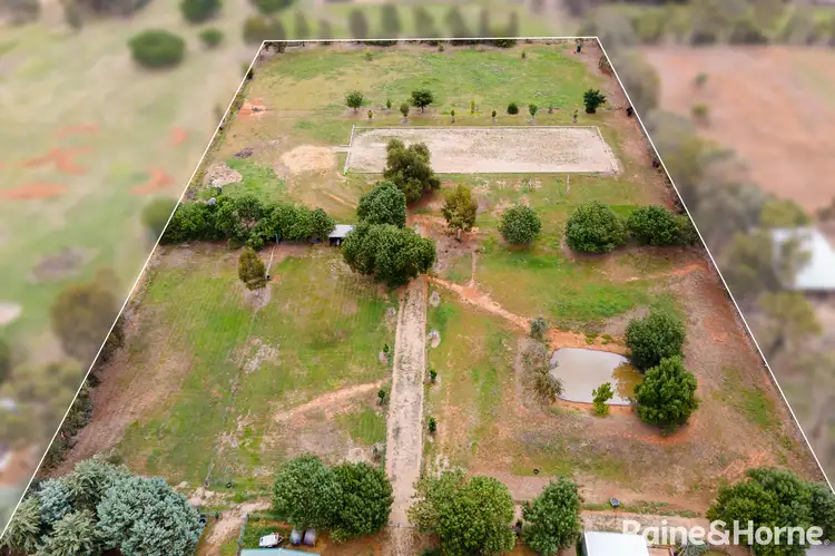 Second view of Homely house listing, 6 Eugene Avenue, San Isidore NSW 2650