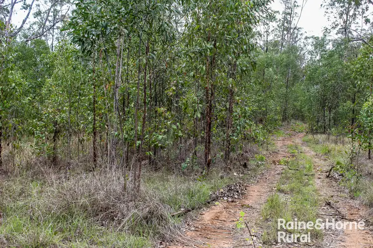 131 Brewers Road, Kippenduff NSW 2469