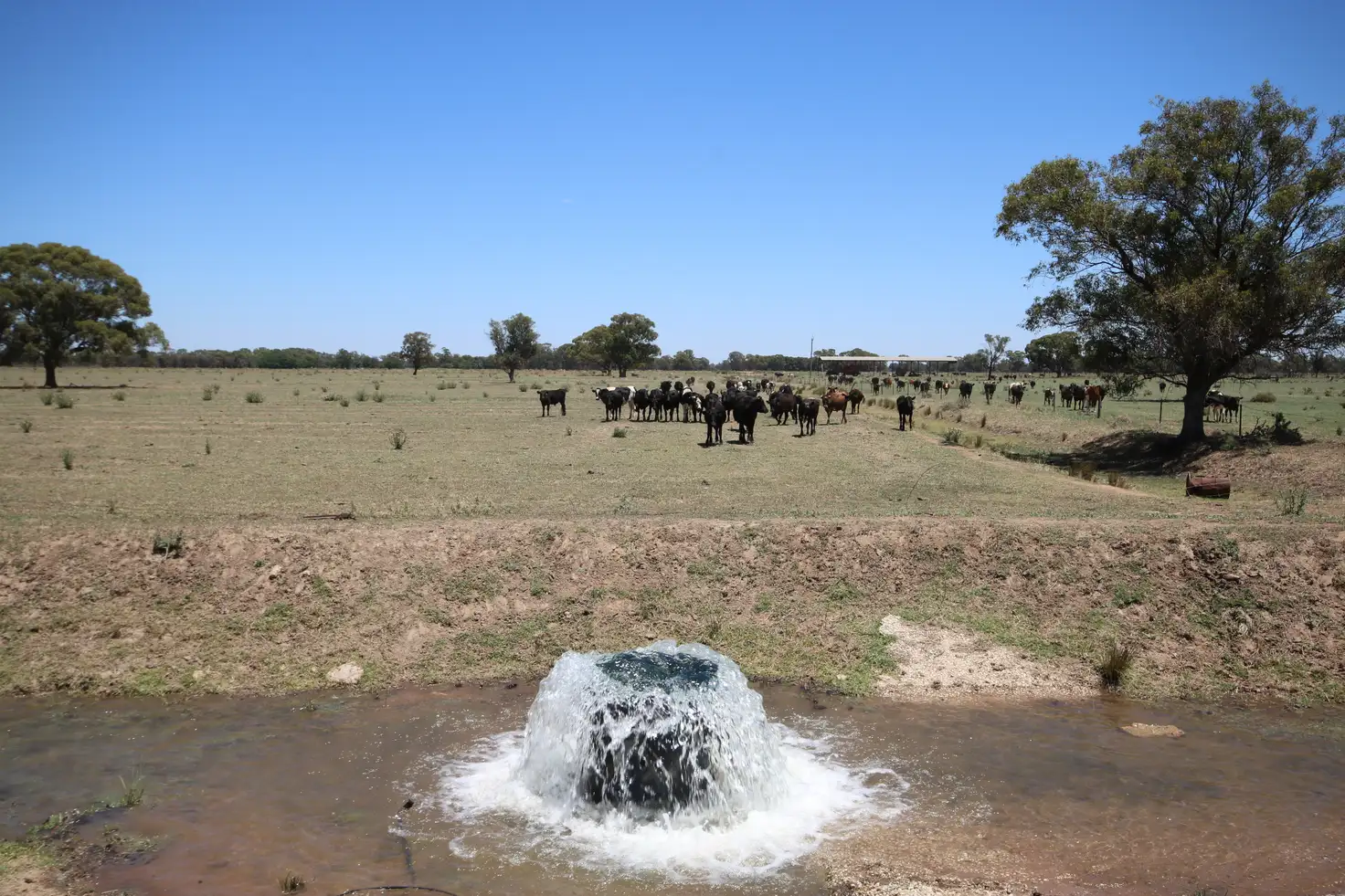 Main view of Homely rural property listing, 614 Nullabooma Road, Wakool NSW 2710