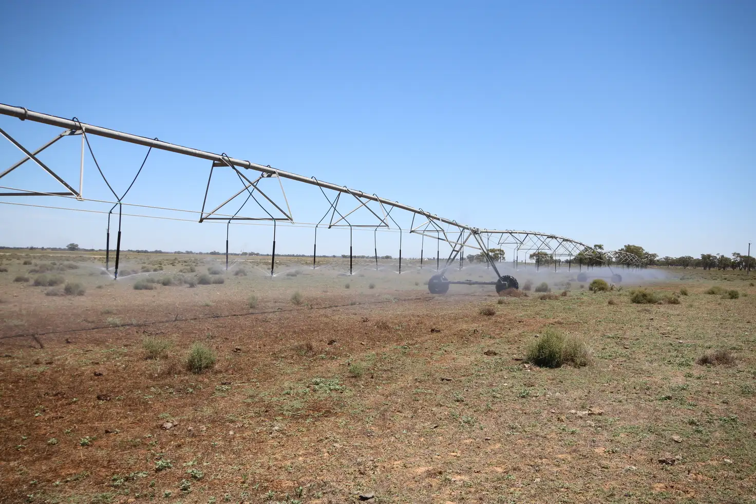 Main view of Homely rural property listing, 614 Nullabooma Road, Wakool NSW 2710