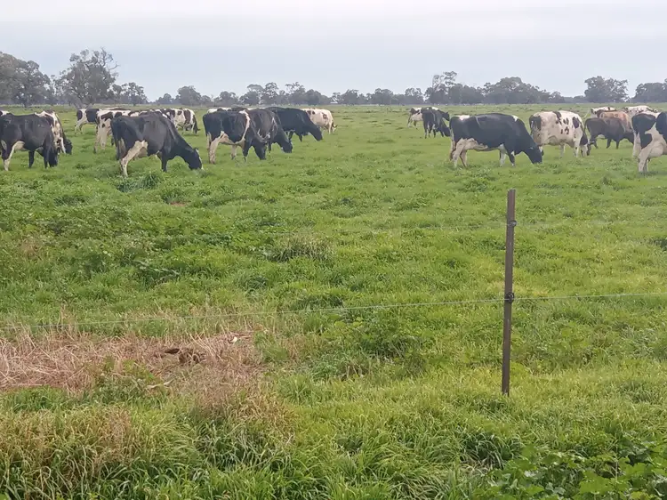 Main view of Homely rural property listing, 142 Walkers Lane, Barham NSW 2732
