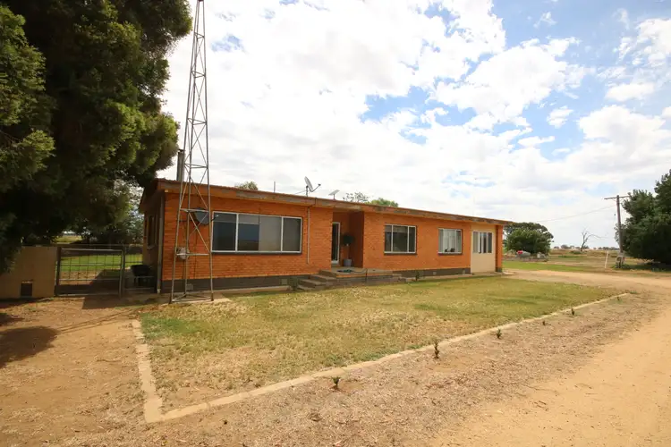 Second view of Homely rural property listing, 142 Walkers Lane, Barham NSW 2732