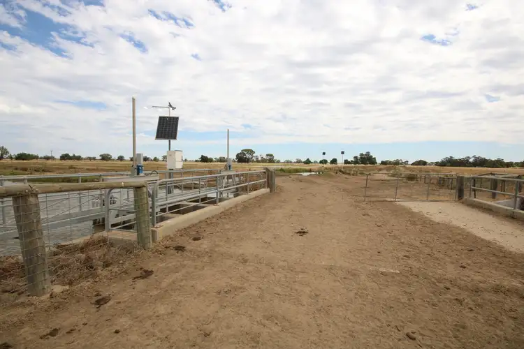 Sixth view of Homely rural property listing, 142 Walkers Lane, Barham NSW 2732