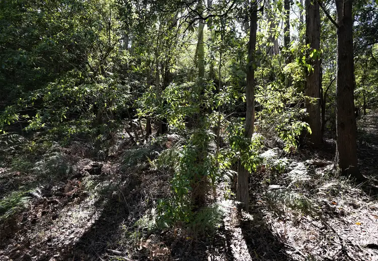 Second view of Homely land listing, 28 Landy Road, Foster VIC 3960