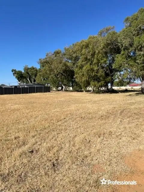 Main view of Homely land listing, 51 Broome Street, Spalding WA 6530