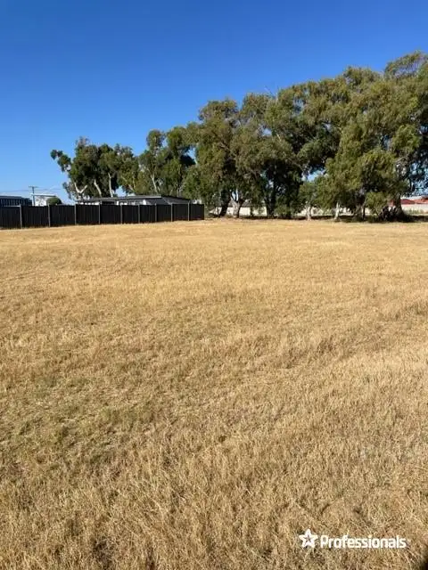 Third view of Homely land listing, 51 Broome Street, Spalding WA 6530