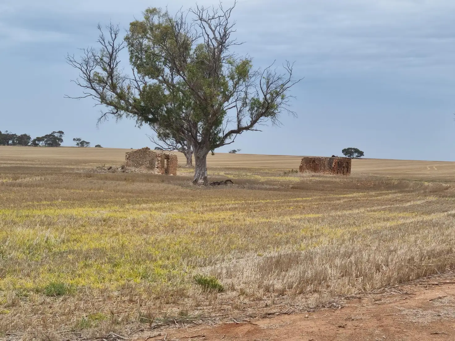 Main view of Homely land listing, 516 Richter Road, Korunye SA 5502