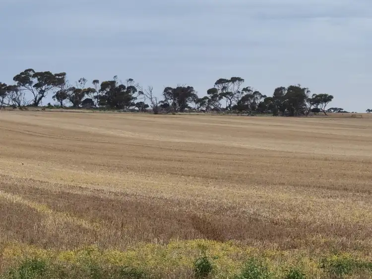 Third view of Homely land listing, 516 Richter Road, Korunye SA 5502