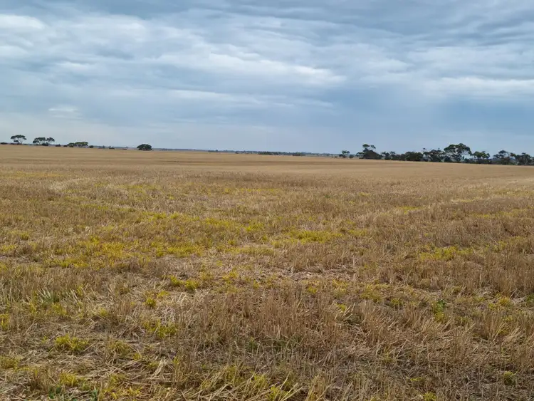 Fourth view of Homely land listing, 516 Richter Road, Korunye SA 5502