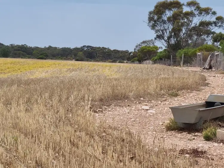 Sixth view of Homely land listing, 516 Richter Road, Korunye SA 5502