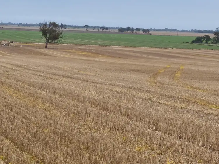 Seventh view of Homely land listing, 516 Richter Road, Korunye SA 5502