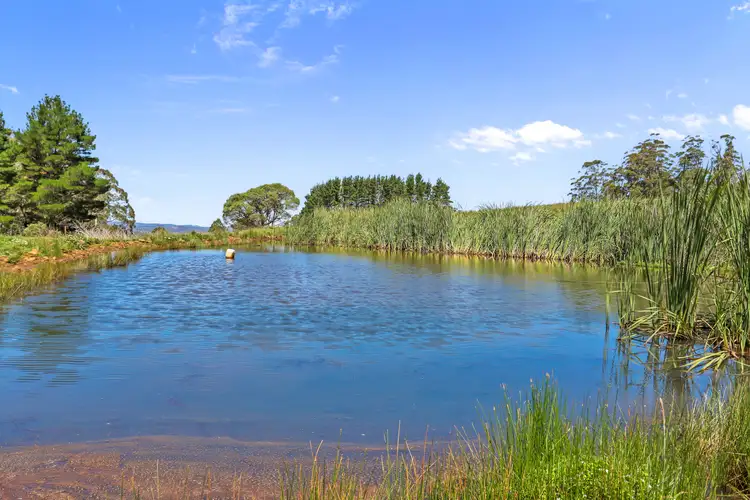 Seventh view of Homely rural property listing, "Pee Jay" 9485 Thunderbolts Way, Nowendoc NSW 2354