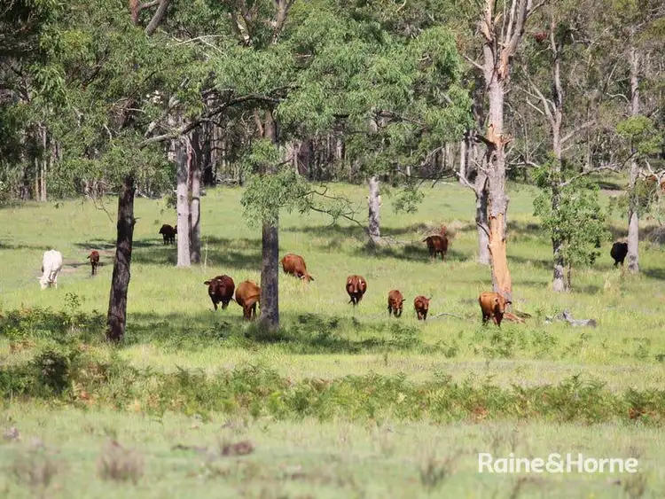 Fourth view of Homely rural property listing, 58-93 Clarence Way, Tunglebung NSW 2469