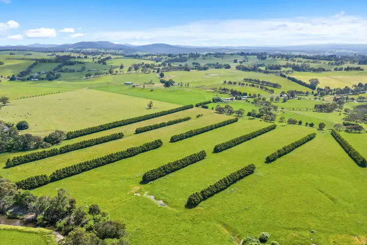 Fifth view of Homely rural property listing, 90 Anstey Road, Tanjil South VIC 3825