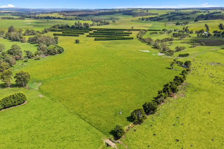 Sixth view of Homely rural property listing, 90 Anstey Road, Tanjil South VIC 3825