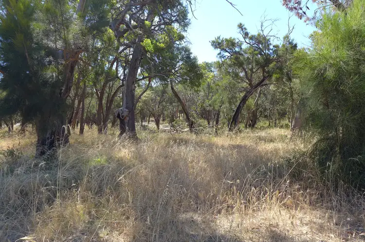 Fourth view of Homely land listing, 136 (Lot 1) Bortolo Drive, Greenfields WA 6210