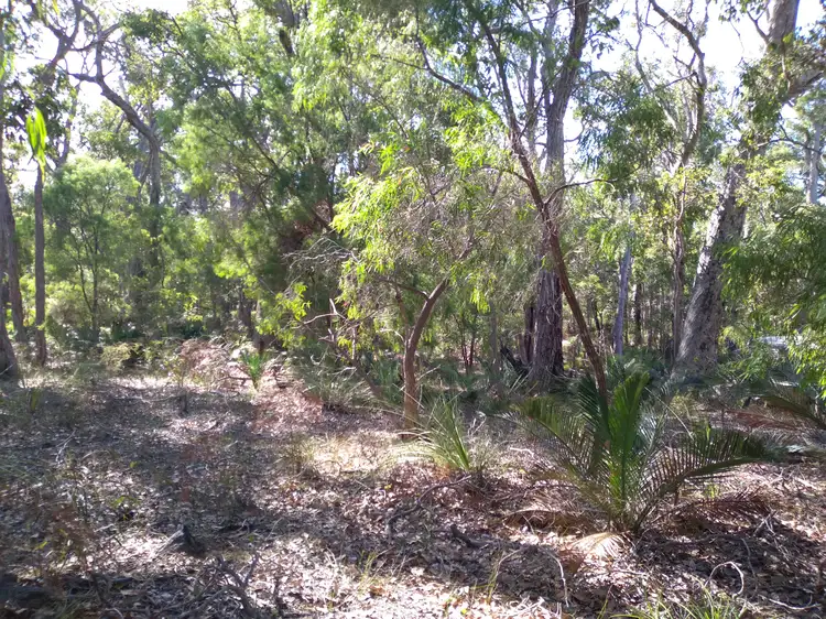 Second view of Homely land listing, 14 Hale Avenue, Molloy Island WA 6290