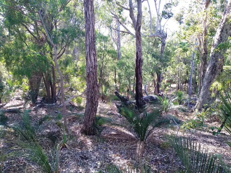 Fifth view of Homely land listing, 14 Hale Avenue, Molloy Island WA 6290