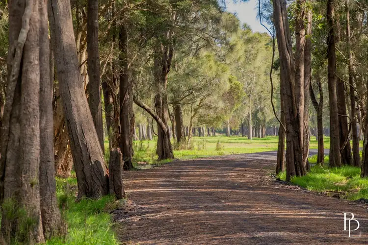 Sixth view of Homely rural property listing, 1170 Greenwell Point Road, Pyree NSW 2540
