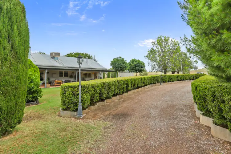 Second view of Homely rural property listing, "Donedrovin" 29 Echo Hills Road, Werris Creek NSW 2341