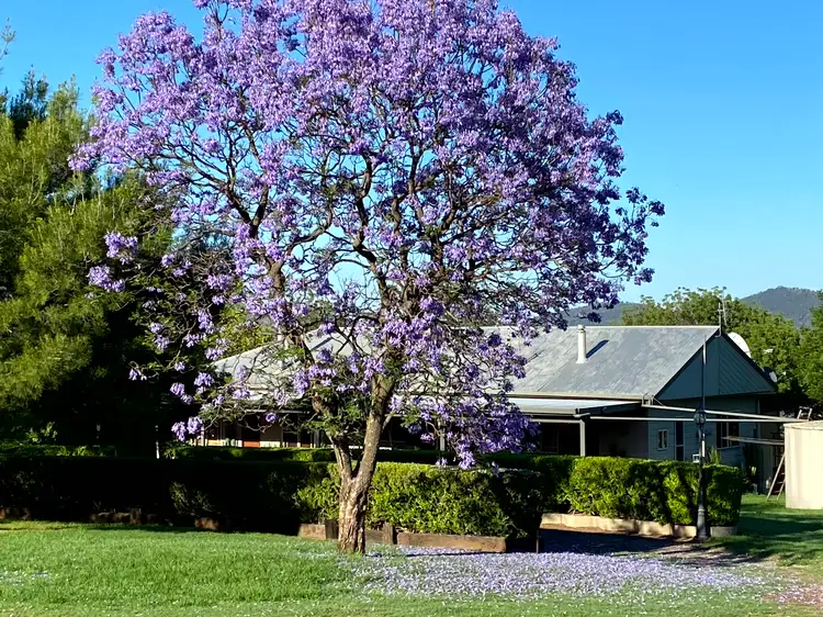 Third view of Homely rural property listing, "Donedrovin" 29 Echo Hills Road, Werris Creek NSW 2341