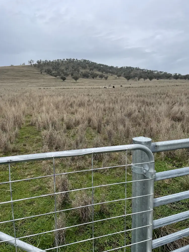 Third view of Homely rural property listing, 1758 Werris Creek Road, Werris Creek NSW 2341