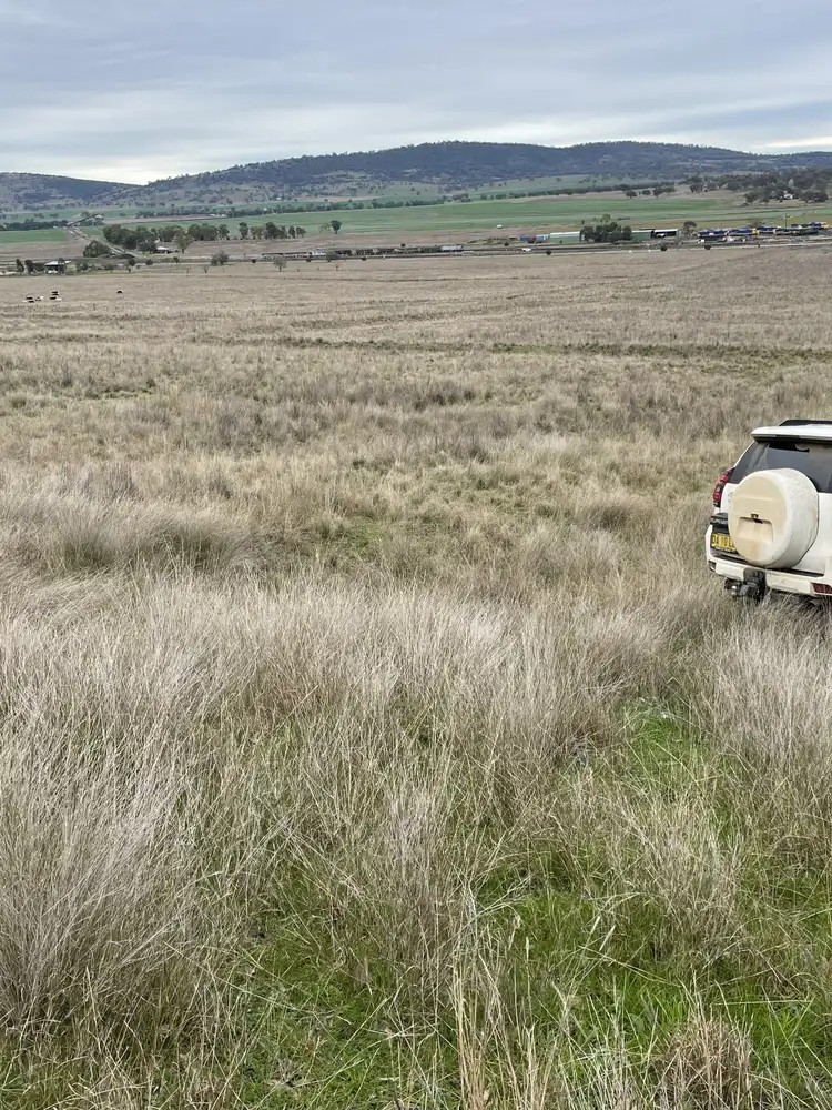 Fifth view of Homely rural property listing, 1758 Werris Creek Road, Werris Creek NSW 2341