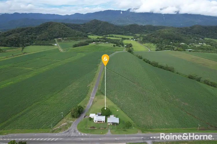Main view of Homely house listing, 579 Mossman-Daintree Road, Miallo QLD 4873