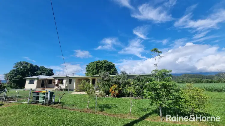 Sixth view of Homely house listing, 579 Mossman-Daintree Road, Miallo QLD 4873