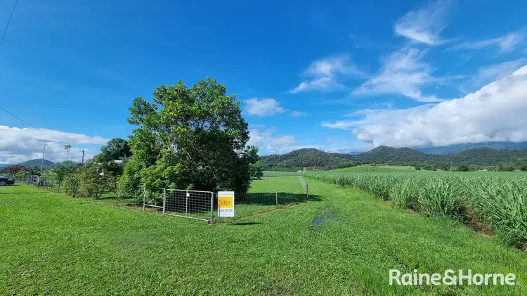 Seventh view of Homely house listing, 579 Mossman-Daintree Road, Miallo QLD 4873