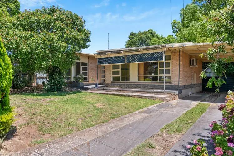 Main view of Homely house listing, 19 Panorama Crescent, Reynella SA 5161